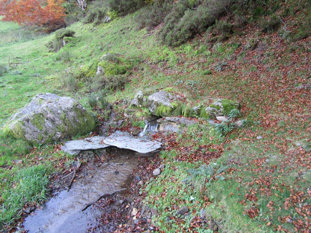 Apartamentos Rurales Casa Baltasar Monasterio De Hermo Luaran gambar
